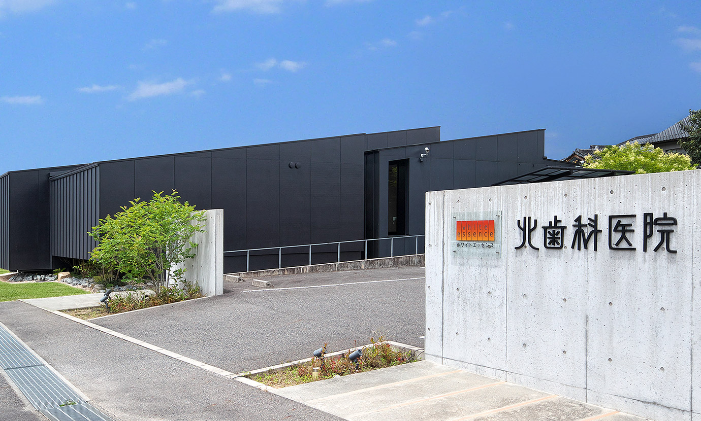 写真1